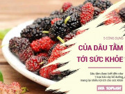 Sức khỏe - Khám phá 5 công dụng tuyệt vời của quả dâu tằm đang vào mùa