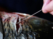 Bếp Eva - Không cần dùng giấm hay rượu khử tanh, chỉ cần rút sợi này khi mổ cá sẽ hết mùi