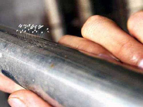 Sự thật không ngờ về hoa ưu đàm 3000 năm nở 1 lần mà lại mọc amp;#34;nhan nhảnamp;#34; khắp nơi - 6