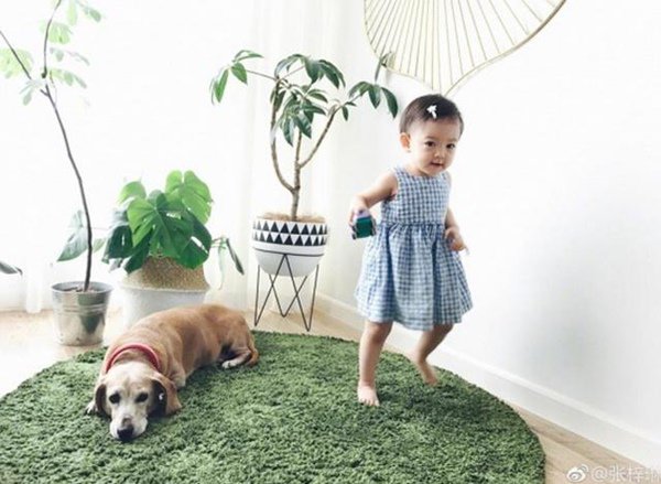 Lâu không xuất hiện, con gái HH Trung Quốc đẹp nhất thế giới 5 tuổi, đáng yêu như công chúa - 6