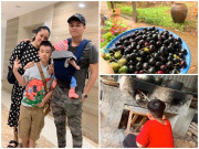 Nhà đẹp - Nghỉ dịch dài ngày, Lê Phương dẫn cả gia đình về Tây Ninh trồng cây, hái quả