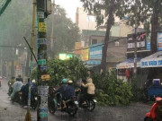 Tin tức - Mưa lớn suốt 30 phút kèm mưa đá, nhiều tuyến đường TP.HCM ngập nặng, cây cối ngã đổ
