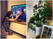 Nhà đẹp - Nam Em trồng cây xanh khắp nhà mong bình yên nhưng bức tranh trên tường lại gây "sóng gió"