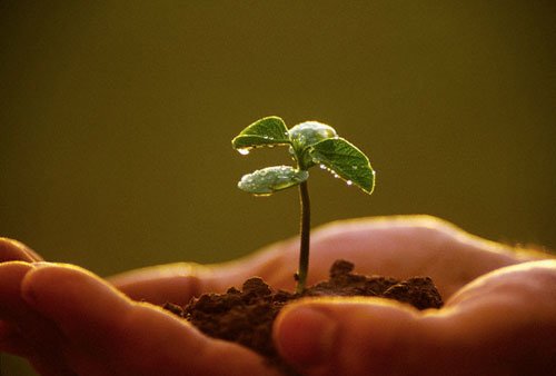 To tiếng với vợ như mọi khi, người cháu nín lặng khi nghe ông chậm rãi hỏi - 2