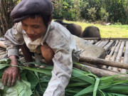 Tin tức - Cuộc sống của người rừng Hồ Văn Lang sau 7 năm về làng giờ ra sao?