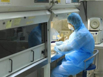 Mới: Việt Nam thử nghiệm vắc xin phòng bệnh COVID-19 trên chuột