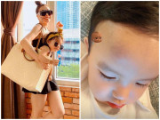 Làm mẹ - Mẹ bỉm cho con vào túi xách: Con Dương Cẩm Lynh thích thú, con "Hoa hậu quốc dân" gặp nạn