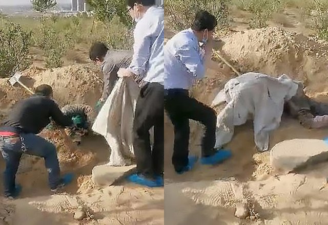 Mẹ già bị con trai đem chôn sống, 3 ngày sau người dân bất ngờ khi mở lên - 2