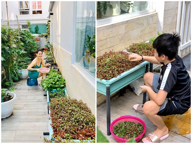 Mẹ đơn thân Thân Thúy Hà tự trồng rau trong biệt thự, con trai 10 tuổi đã biết làm vườn