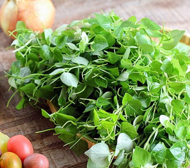 5 loại rau mọc hoang đầy đường ở Việt Nam, nay dân đem về trồng hái amp;#34;núi tiềnamp;#34; - 6