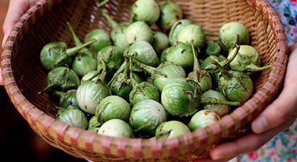 5 loại rau mọc hoang đầy đường ở Việt Nam, nay dân đem về trồng hái amp;#34;núi tiềnamp;#34; - 9