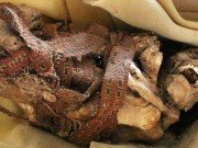 Xem ăn chơi - Tìm thấy xác ướp 900 tuổi há miệng cười trong tư thế kỳ lạ