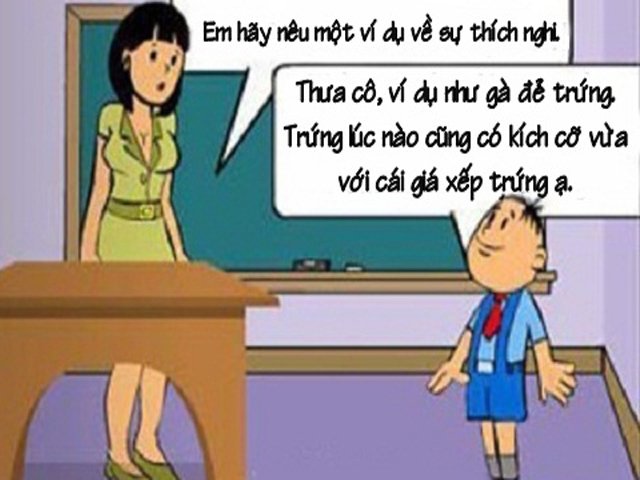 Truyện cười hay: Cô giáo ngã ngửa trước sáng tạo của học sinh về cách thích nghi của loài gà