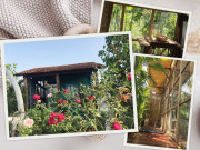 Nhà đẹp - Ông bố Sài Gòn xây nhà gỗ chưa tới 100 triệu, gạch ngói đi xin không tốn 1 đồng