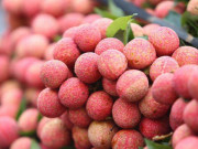 Bếp Eva - Khi chọn vải nên chọn quả màu đỏ hay pha xanh, người bán nhắc chỉ cần nhớ 4 điều