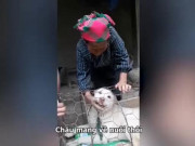 Clip Eva - Cụ bà khóc nức nở khi bán chó cưng được nam thanh niên mua tặng lại bà