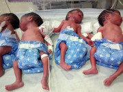 Bà bầu - Đinh ninh mang thai một, mẹ sốc nặng khi... đẻ mãi không hết con