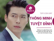 Clip Eva - Top 5 con giáp thông minh vốn sẵn tính trời