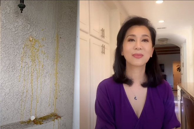 Phản ứng của MC Kỳ Duyên khi kể chuyện bị miệt thị ở Mỹ nhưng bị amp;#34;ném đáamp;#34; ngược - 2