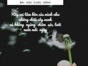 Eva tám - Mỗi chúng ta đều có "4 người vợ" và sự thật đáng suy ngẫm về người chung thuỷ nhất