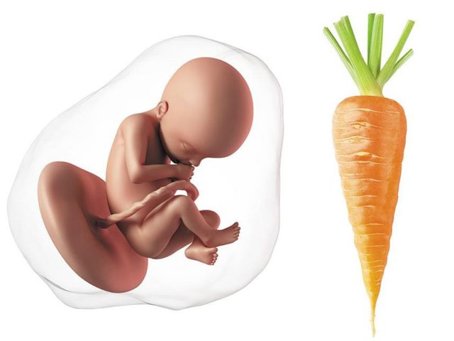 4. Thực phẩm cần hạn chế hoặc tránh