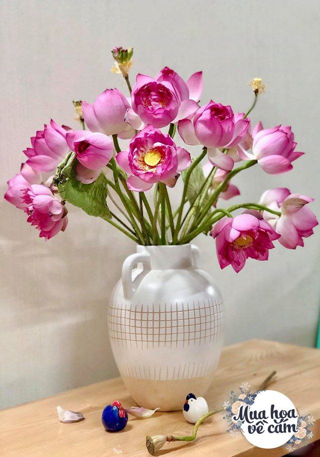 Muôn kiểu cắm hoa sen đẹp hút hồn của chị em Việt, nhìn là muốn amp;#34;rướcamp;#34; ngay 1 bình - 16