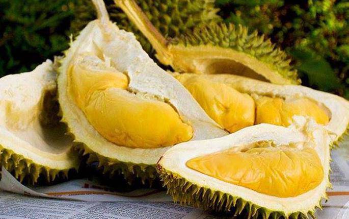 7 su that "kho do" ve trai sau rieng se khien nguoi mua vo cung bat ngo - 3