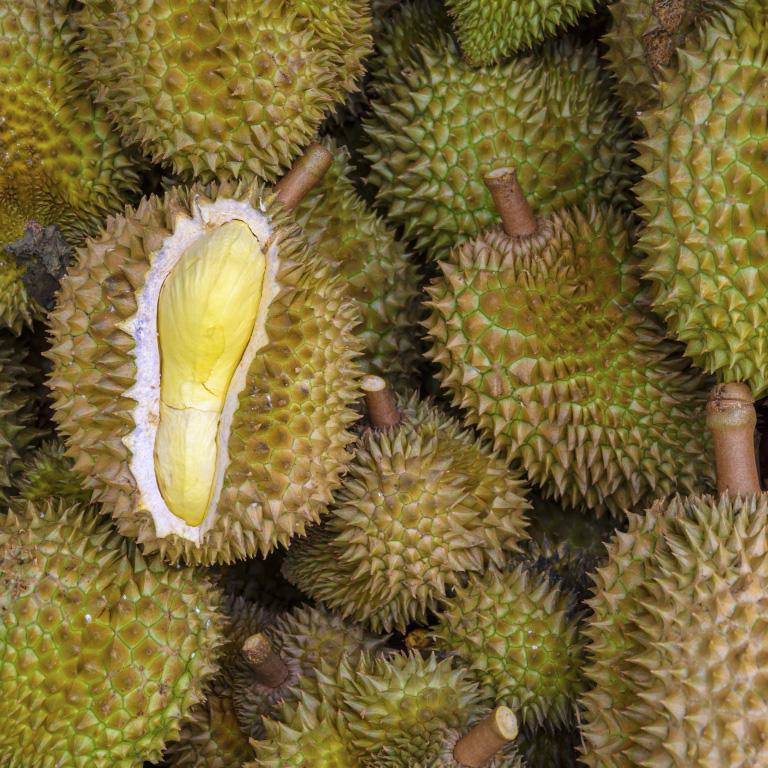7 su that "kho do" ve trai sau rieng se khien nguoi mua vo cung bat ngo - 4