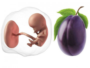 Thai 12 tuần: Nguy cơ sảy thai giảm đáng kể