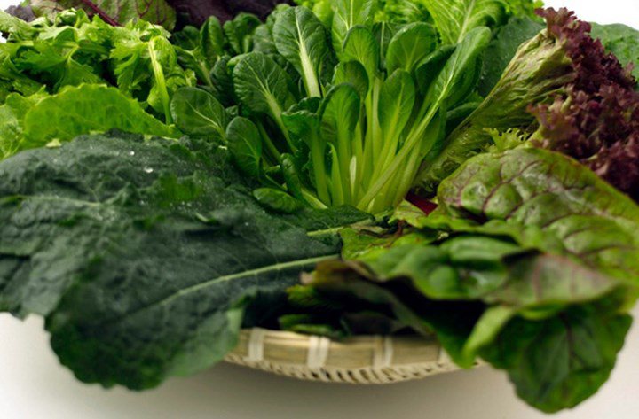 12 thuc pham giau canxi hang dau cho nguoi lon va tre em - 7