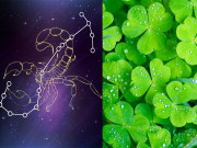 Eva tám - Màu sắc mang lại may mắn, tài lộc cho 12 cung hoàng đạo trong năm 2020