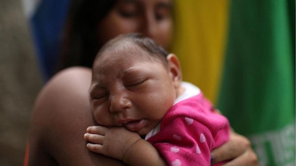 Virus Zika nguy hiểm thế nào, triệu chứng và cách thức lây truyền ra sao? - 2