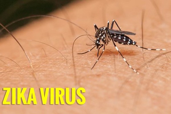 Virus Zika nguy hiểm thế nào, triệu chứng và cách thức lây truyền ra sao? - 1