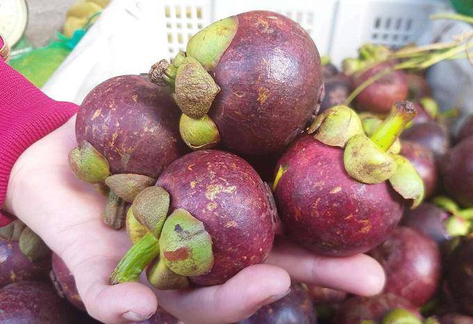 Măng cụt Việt Nam và măng cụt Thái Lan đang tràn ngập chợ, phân biệt thế nào? - 3