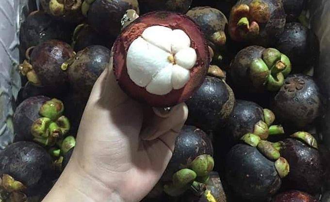 Măng cụt Việt Nam và măng cụt Thái Lan đang tràn ngập chợ, phân biệt thế nào? - 1