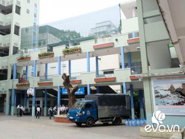 Vụ cây bật gốc đè học sinh: Trường còn 1 cây phượng khác to hơn cây vừa bật rễ