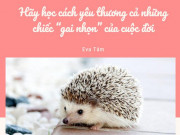 Eva tám - 3 mẩu chuyện ngắn đáng suy ngẫm ai cũng nên đọc