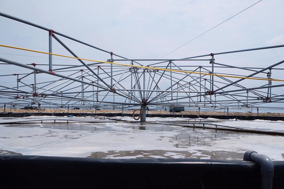 Điểm cực dễ thấy để biết tôm bơm tạp chất, nhiều người thường bỏ qua hoặc không biết - 5