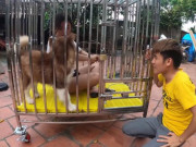 Tin tức - Tin tức 24h: Nhốt em gái vào chuồng chó trả thù, con trai Bà Tân Vlog hứng "bão" chỉ trích