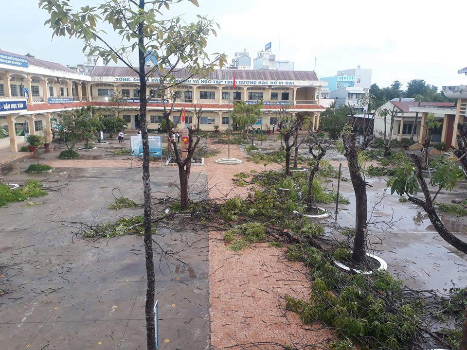 sau vu cay do de hoc sinh, buc anh "phong toa" cay phuong thu hut 92 nghin luot thich - 5