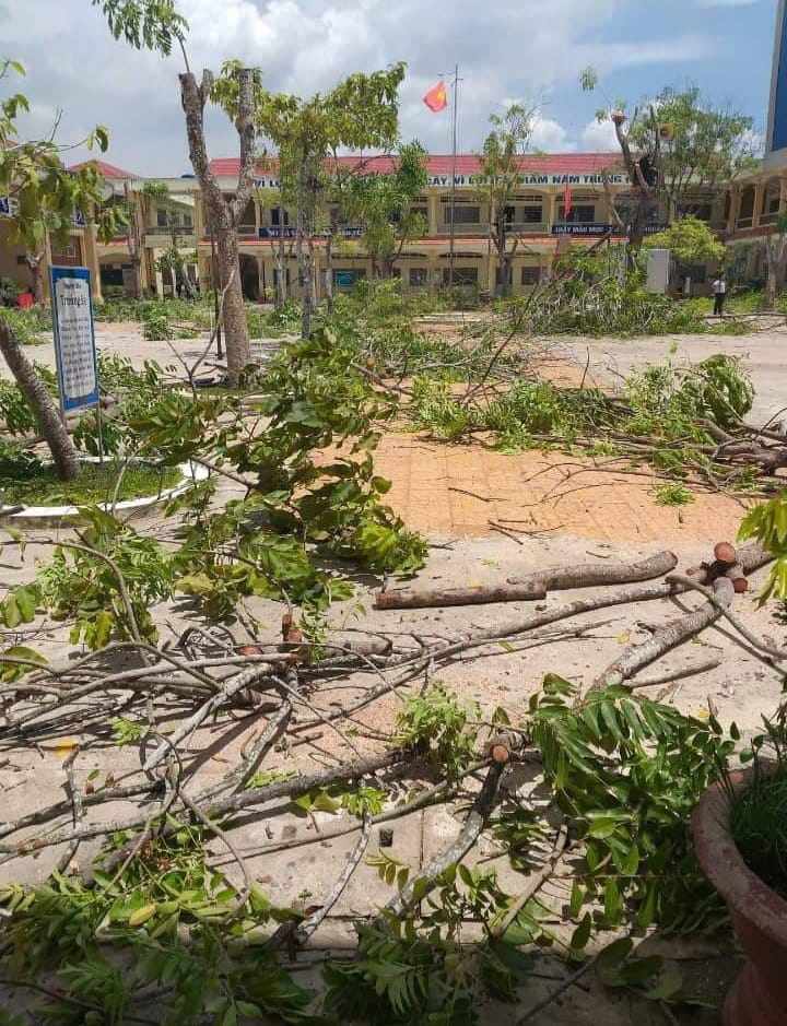 sau vu cay do de hoc sinh, buc anh "phong toa" cay phuong thu hut 92 nghin luot thich - 3