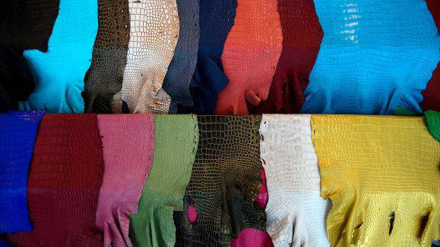 Du khách hết hồn khi tới trang trại cá sấu lớn nhất Thái Lan - 9