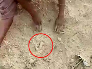 Tin tức - Thấy chân người thò lên khỏi mặt đất, người dân đào lên phát hiện điều kinh hoàng