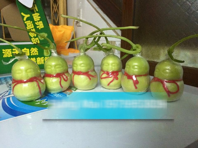 Sự thực về loài cây có quả hệt cô gái khỏa thân, chỉ rung lên khi nam giới chạm vào - 7