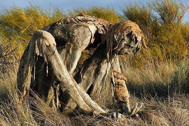 Buổi tối gặp những bức tượng đầm lầy này đảm bảo du khách hết hồn bỏ chạy - 1