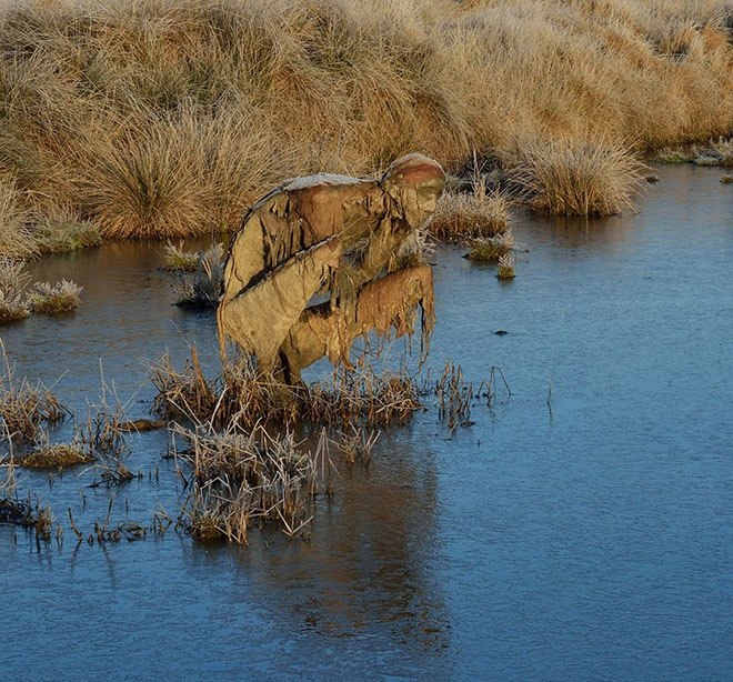 Buổi tối gặp những bức tượng đầm lầy này đảm bảo du khách hết hồn bỏ chạy - 5
