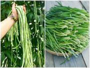 Nhà đẹp - 7 loại rau trồng không cần nắng, càng để râm càng bội thu cả rổ