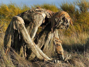 Buổi tối gặp những bức tượng đầm lầy này đảm bảo du khách hết hồn bỏ chạy