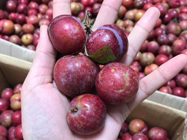 7 loại trái cây là đặc sản mùa hè nếu muốn ăn phải lưu ý điều này kẻo hỏng người