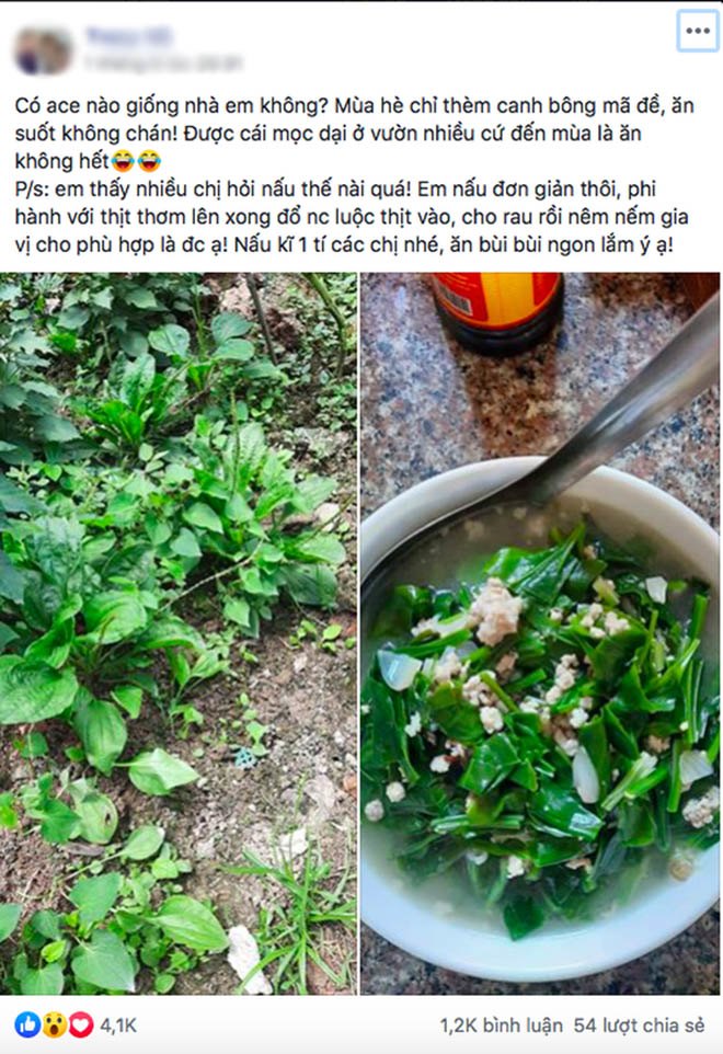 Loại cây dại mọc đầy đường tưởng không ăn được, đem nấu canh lại ngon xuất sắc - 1